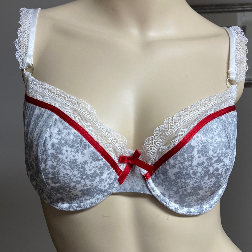 Elle Macpherson White & Silver with Red and Lace Trim Underwire Bra